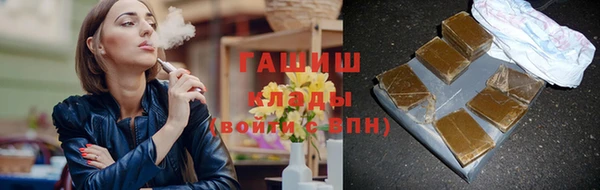 индика Новозыбков