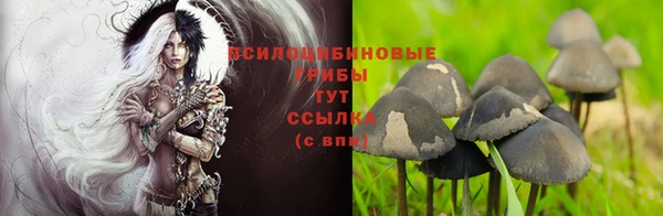 Альфа ПВП Няндома
