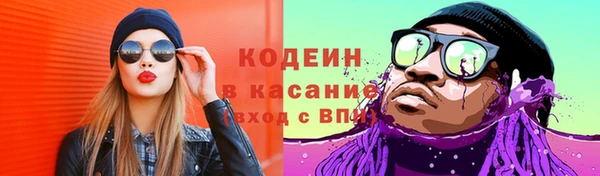 индика Новозыбков