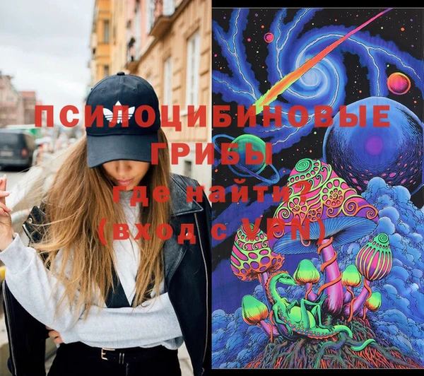Альфа ПВП Няндома