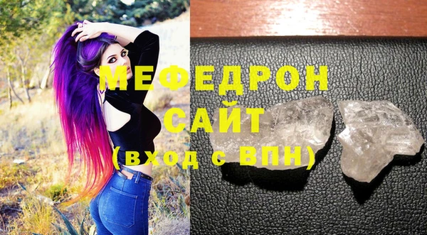 индика Новозыбков