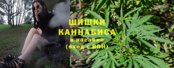 Альфа ПВП Няндома