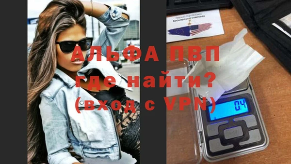 Альфа ПВП Няндома