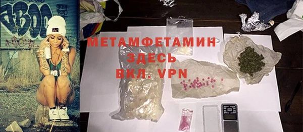 индика Новозыбков