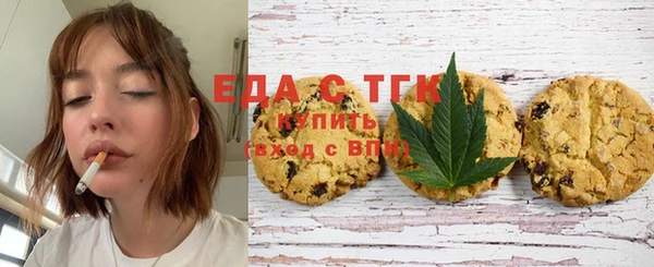 индика Новозыбков