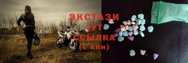 индика Новозыбков