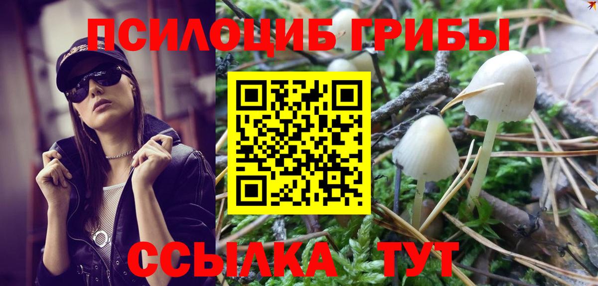 Галлюциногенные грибы Psilocybe  как найти закладки  Галлюциногенные грибы GOLDEN TEACHER  Курск  Вход с VPN 