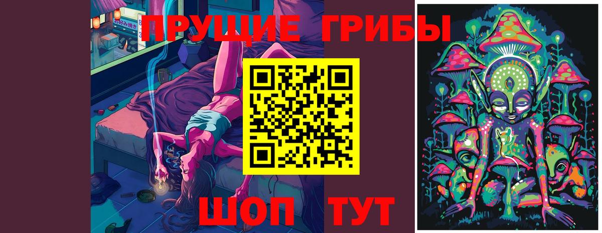 Галлюциногенные грибы мицелий Курск