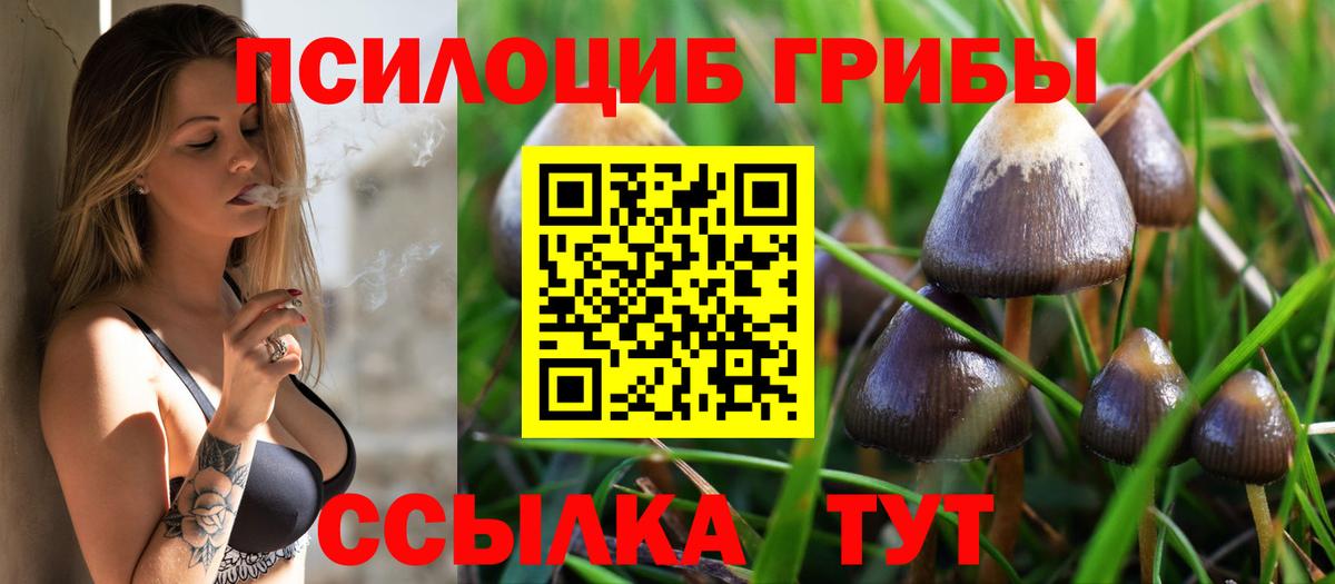 Галлюциногенные грибы ЛСД  Галлюциногенные грибы ЛСД  где купить наркотик  Курск 