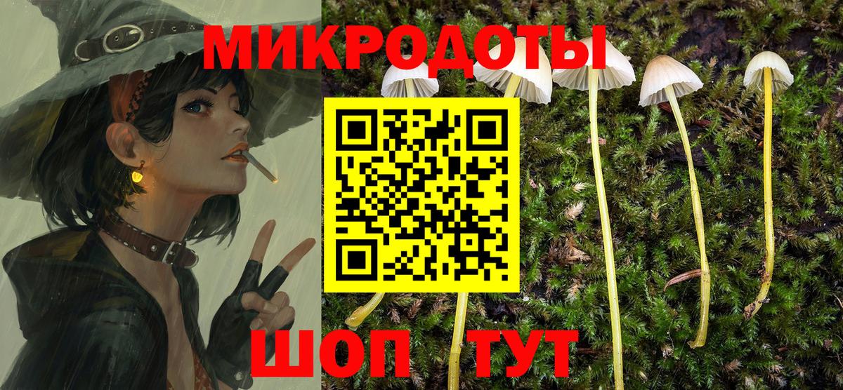 Галлюциногенные грибы GOLDEN TEACHER Курск