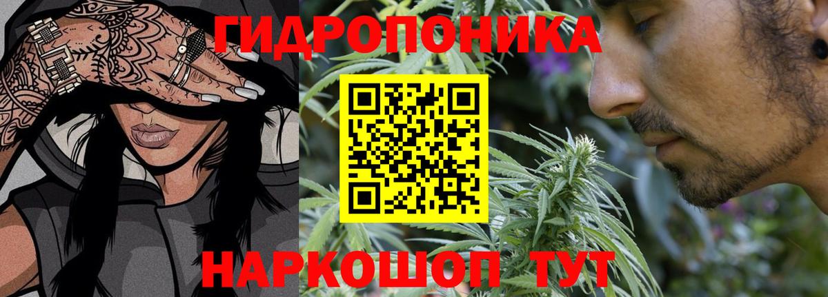 Канабис White Widow  Канабис AK-47  Курск  Каннабис Ganja 